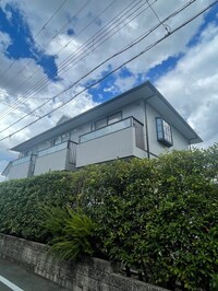 ロイヤルハイネス