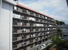 千里山サニ－ハイツ(111)の外観