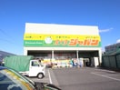 ジャパン(電気量販店/ホームセンター)まで757m アベンシス