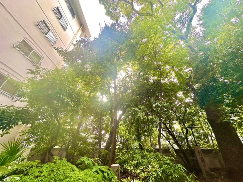 室内からの展望 芦屋アーバンライフ(201)