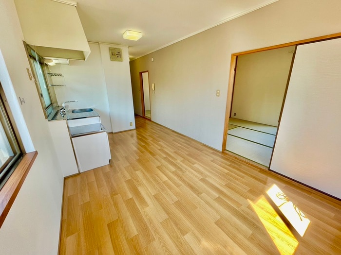 居室 ソファレグリーン