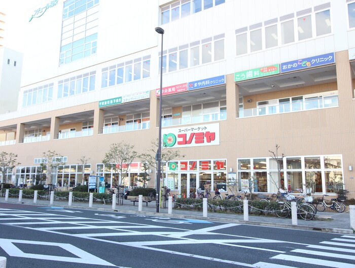 コノミヤ 和泉府中店(スーパー)まで280m ライズコート