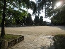 大井戸公園(公園)まで90m ﾊｲﾂ大和Ⅱ