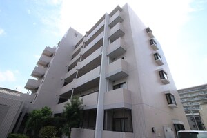 グレーシィ喜連