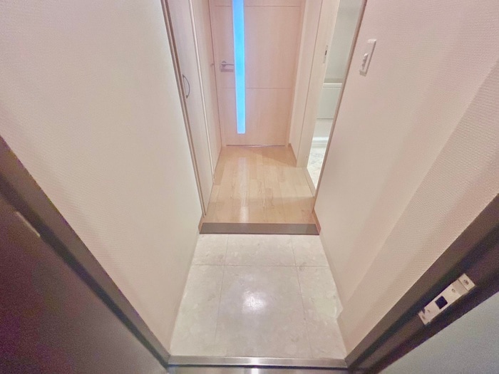 玄関 ｴｽﾃﾑｺｰﾄ難波Ⅲﾗｸﾞｰｽ(402)