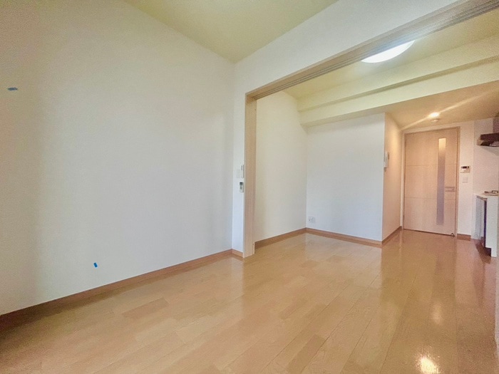 居室 ｴｽﾃﾑｺｰﾄ難波Ⅲﾗｸﾞｰｽ(402)