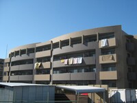 エバーグレイス