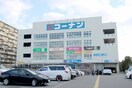 コーナン豊中島江店(電気量販店/ホームセンター)まで720m クレールコート
