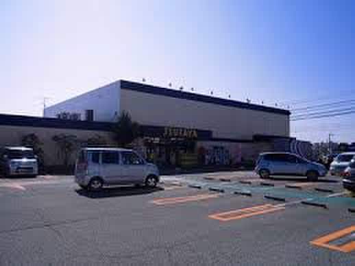 ツタヤ(本屋)まで730m セピアコ－ト