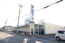 サンディ諏訪ノ森店(スーパー)まで160m フジパレス堺諏訪森Ⅰ番館