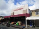 スーパーストアナカガワ男山店(スーパー)まで572m フェリーチェ　シゲノ　B棟