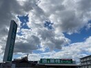 業務スーパー(スーパー)まで800m Ｇｒｅｅｎ Ｇｒｅｓｓ久米田