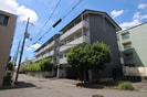 ｷｻﾞｸﾗｸｽﾞﾊﾊｲﾂの外観