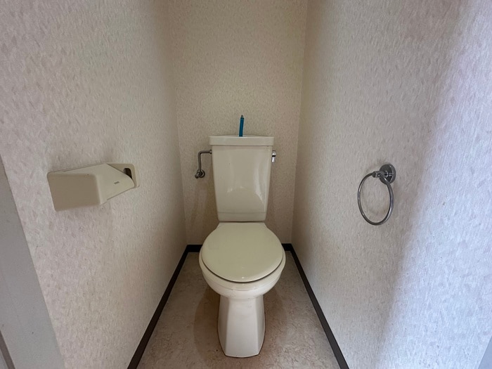 トイレ メゾンホワイト