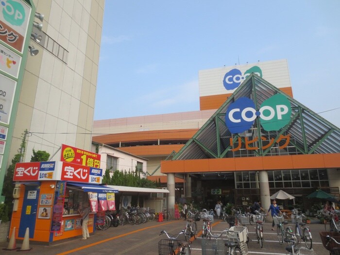 コープリビング(電気量販店/ホームセンター)まで480m エクシ－ル本山