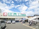 業務スーパー 南武庫之荘店(スーパー)まで270m サンライム