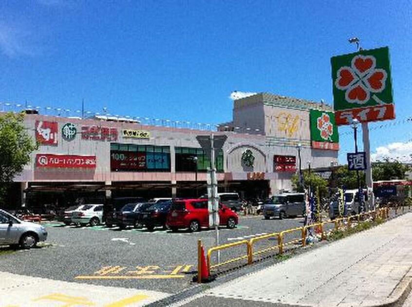 ライフ浜甲子園店(スーパー)まで500m シティハイム九番町