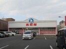 西松屋寺方店(ショッピングセンター/アウトレットモール)まで442m グランドピア守口(501)