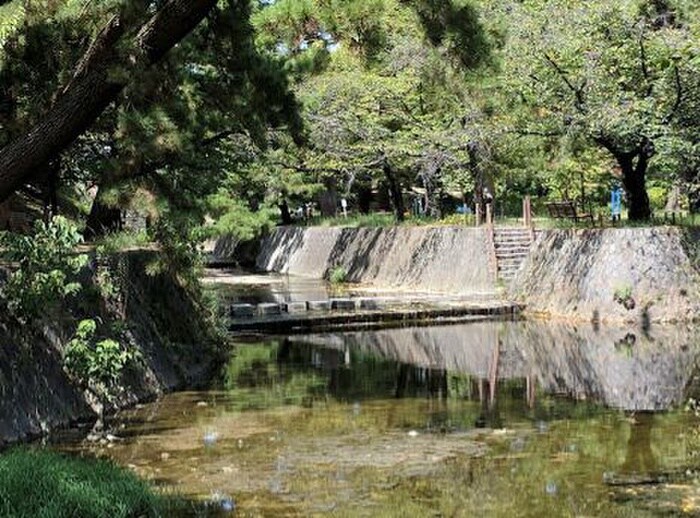 夙川公園(公園)まで80m プレステ－ジフジ西宮壱番館