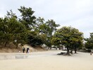 大塚公園(公園)まで223m ア－バネックス豊中桜塚