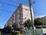 男山第４住宅３０３棟（５０６）