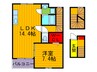 ニューフォレスト北野 1LDKの間取り