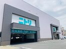 ニトリ 神戸須磨店(電気量販店/ホームセンター)まで350m レックイン須磨