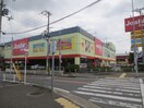 ジョーシン(電気量販店/ホームセンター)まで900m ｱﾝﾌﾟﾙ-ﾙｸﾗ-ｼﾞｭSHIMADA