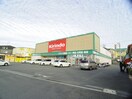 キリン堂(ドラッグストア)まで1325m エーデルハイム東香園
