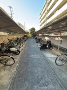 駐輪場 ルミエール長尾
