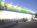 めぐみの郷(スーパー)まで809m 誠月ハイツ