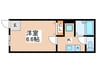 ネオシティ阿倍野 1Kの間取り