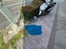 その他 Ｋ＆Ａながいけ