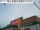 キリン堂土佐屋台店(ドラッグストア)まで830m ネオソレイユ
