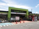 ロイヤルホームセンター(電気量販店/ホームセンター)まで950m シェリール