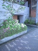 エントランス部分 プレサンス京大南（６０４）