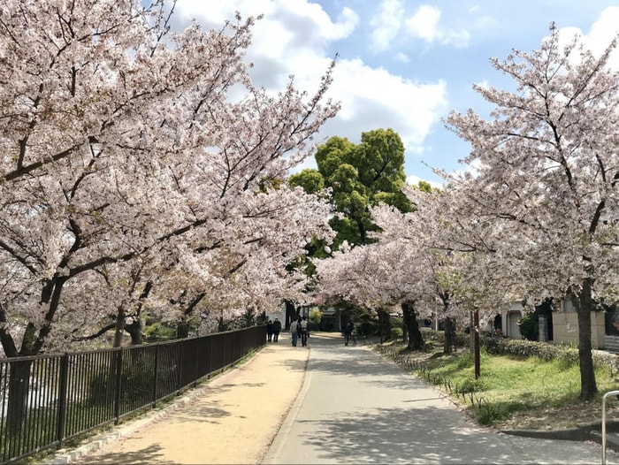 万代池公園(公園)まで450m フジパレス住吉東