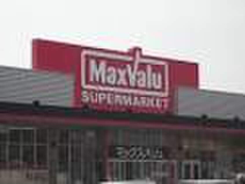 マックスバリュ(スーパー)まで1360m サンモール金ヶ崎