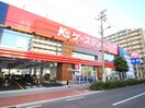 ケーズデンキ東住吉中野店(電気量販店/ホームセンター)まで500m サウスピュアコート
