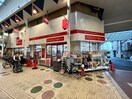 DAISO駒川店(100均)まで600m サウスピュアコート