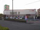ライフ(スーパー)まで650m ハピネスガーデン新大阪