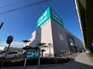 ニトリ住之江店(電気量販店/ホームセンター)まで180m フェルザ住之江公園