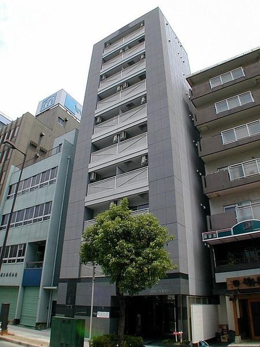 その他 シティドウェルスカイトータス