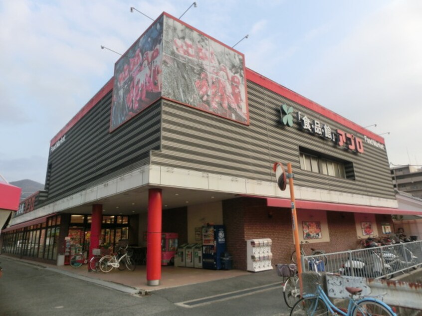 アプロ恩智店(スーパー)まで300m ラフィーネ八尾東