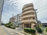 EVER GREEN UJI
