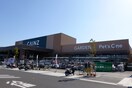 カインズ(電気量販店/ホームセンター)まで1200m グランシャリオ