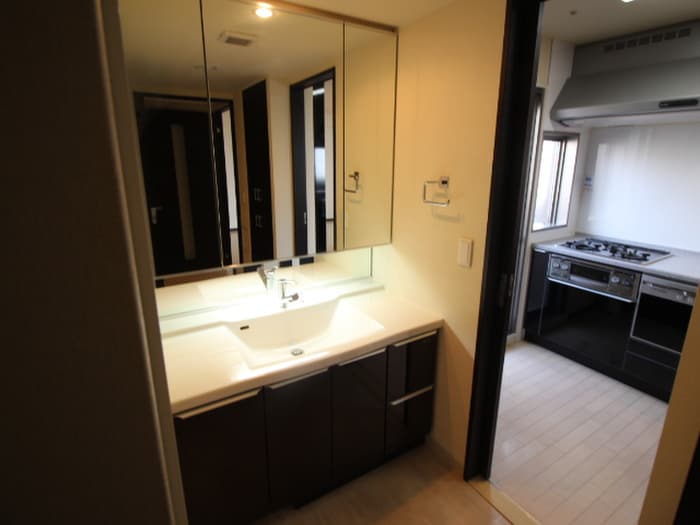 洗面 塚口ガ－デンズマ－ク(212)