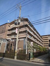 ｸﾞﾘｰﾝﾍﾞｰﾙﾋﾙ柏原