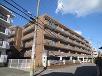 ﾗｲｵﾝｽﾞﾏﾝｼｮﾝ南楠葉(304)