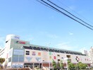 岸和田カンカン(ショッピングセンター/アウトレットモール)まで450m Ｋ　ｓスクエア岸和田北町